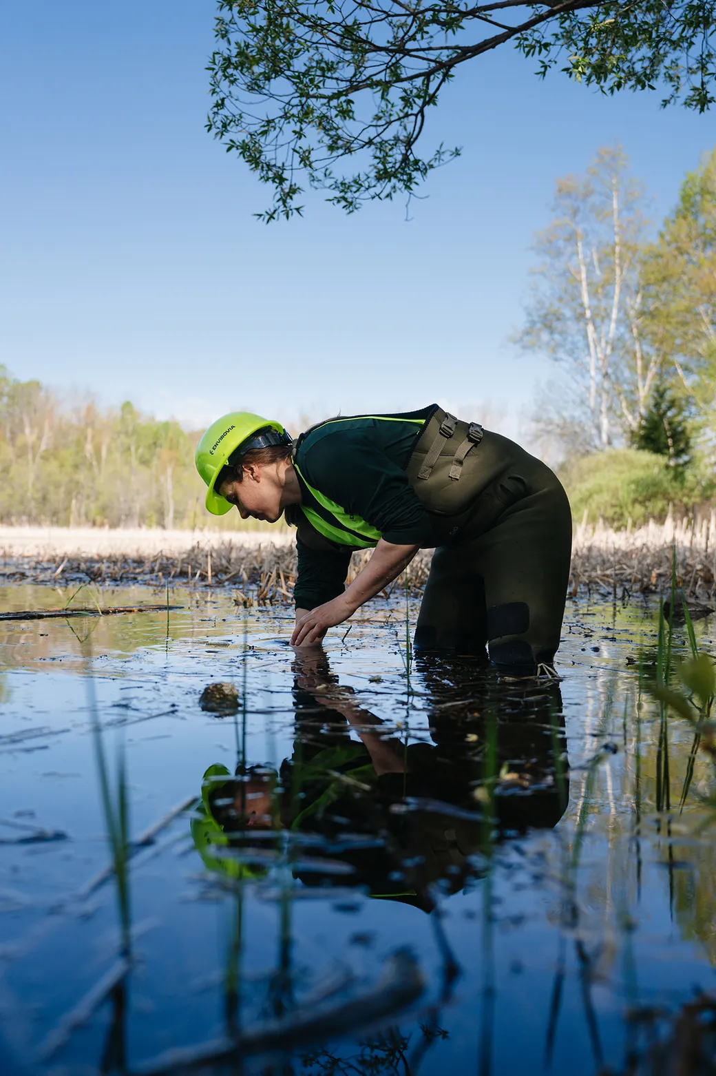 Plan de gestion du castor en milieu agricole