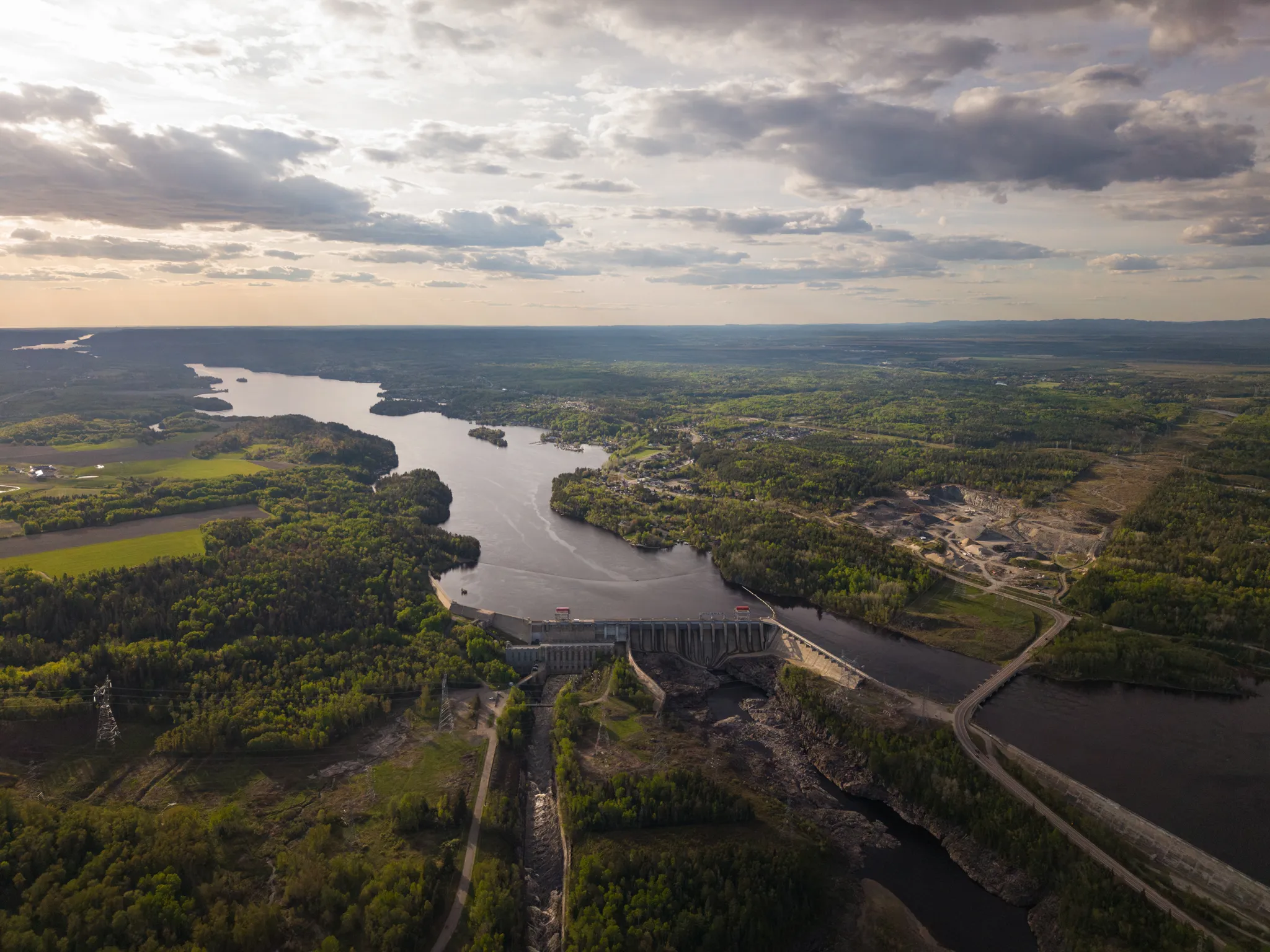 Forêt boréale du fjord